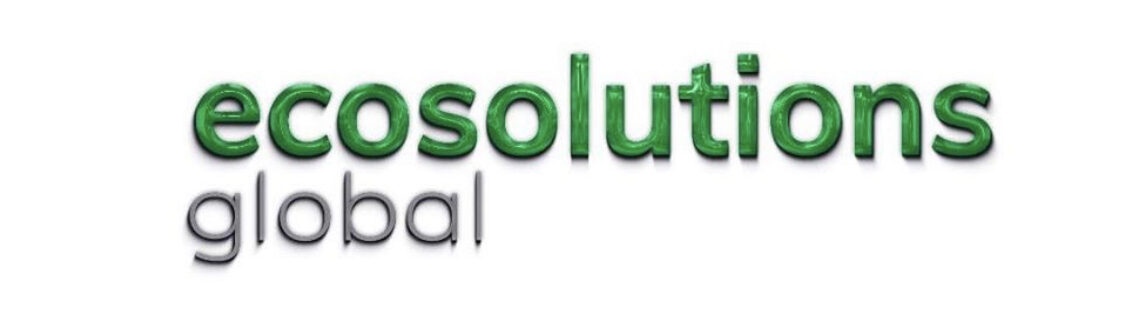 Logo Eco solution global
